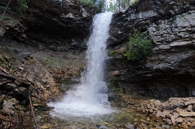 Calgary to the Rocky Mountains Private Day Tour - Wildlife Chances: How to Set Yourself Up for Success