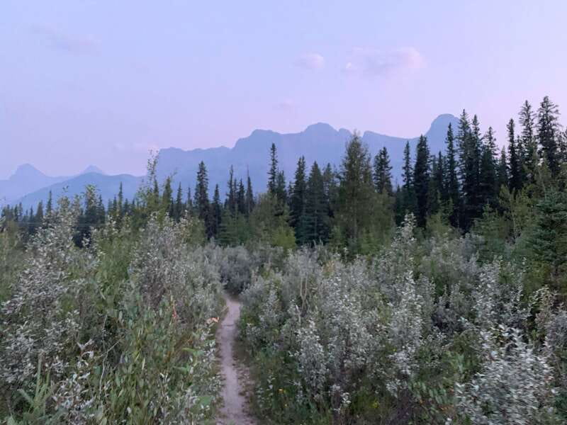 Canmore: PRIVATE SAFARI Drive to BANFF Park & Nature Walk - The small details that shape your day