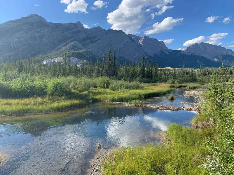 Canmore: PRIVATE SAFARI Drive to BANFF Park & Nature Walk - The guided walk: lakeside, forest trails, and a plan for your pace