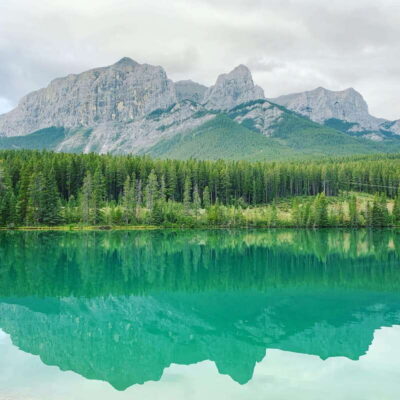 Canmore: PRIVATE SAFARI Drive to BANFF Park & Nature Walk - The scenic drive: where wildlife shows up and how to shoot it
