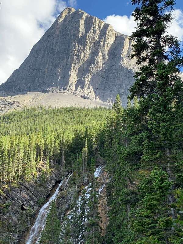 Canmore: PRIVATE SAFARI Drive to BANFF Park & Nature Walk - Price and value: $438 for up to 4 people, with the key extras included