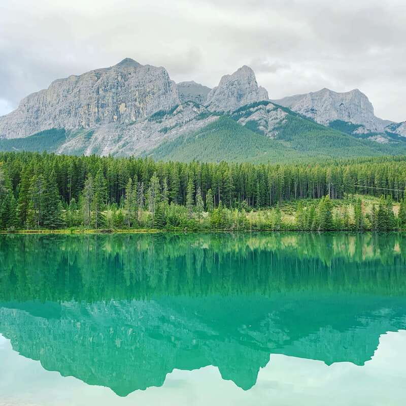 Canmore: PRIVATE SAFARI Drive to BANFF Park & Nature Walk - The scenic drive: where wildlife shows up and how to shoot it
