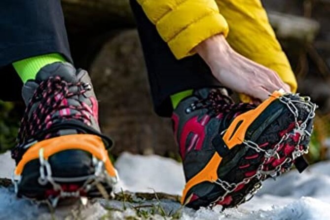 Canmore: Wilderness & Wildlife Tour - 2hr Walk - Price and value: what $90.07 buys you