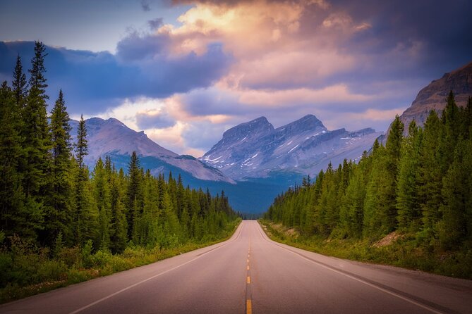 Columbia Icefield Adventure,Bow Lake,Peyto Lake in Banff & Jasper - Peyto Lake: The Blue That Comes from Rock Flour