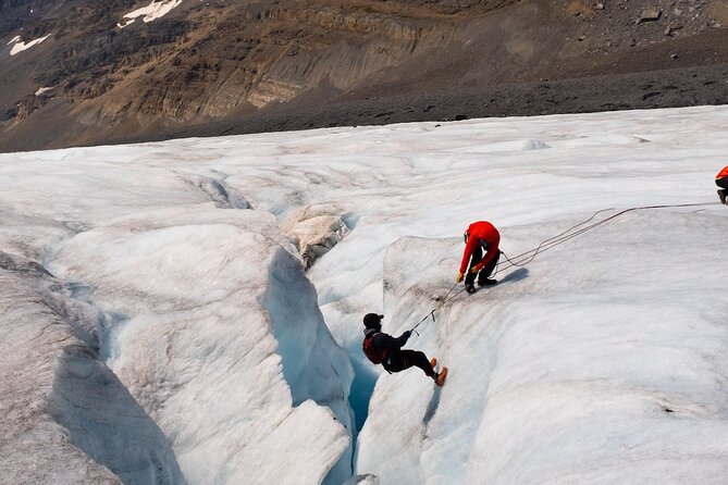 Columbia Icefield Adventure,Bow Lake,Peyto Lake in Banff & Jasper - Waterfowl Lakes: A Calmer Pause After the Big Ice Stops