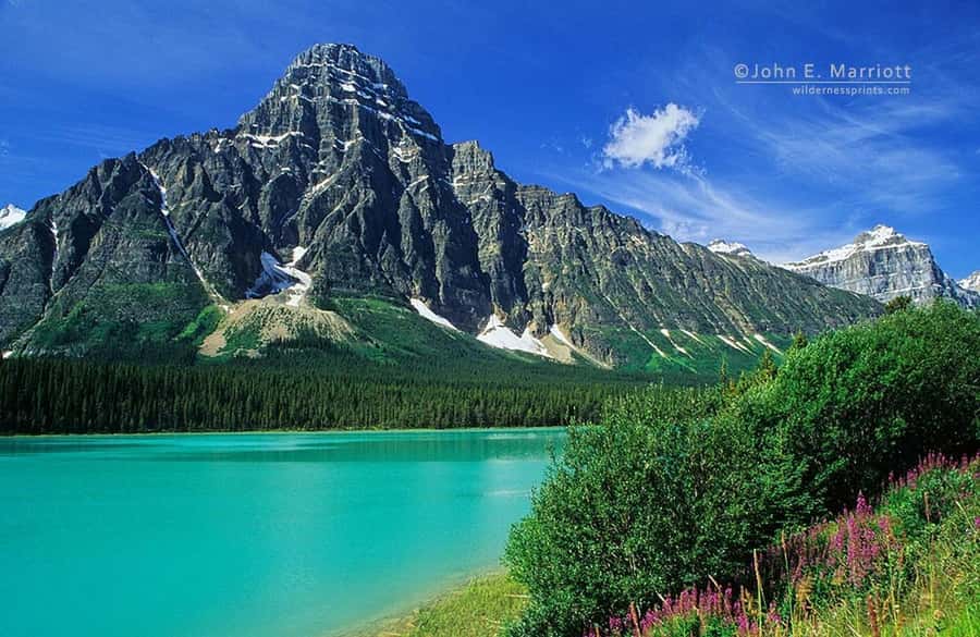 Columbia icefield, Skywalk, Waterfowl, Bow & Peyto Lake Tour - Key things you’ll notice on this tour