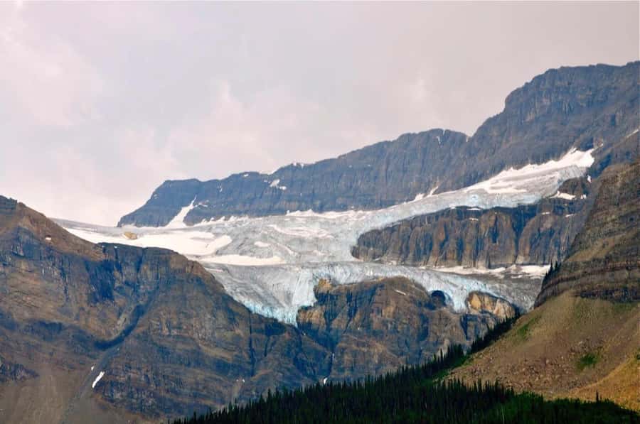 Columbia icefield, Skywalk, Waterfowl, Bow & Peyto Lake Tour - Who should book this tour, and who might not love it
