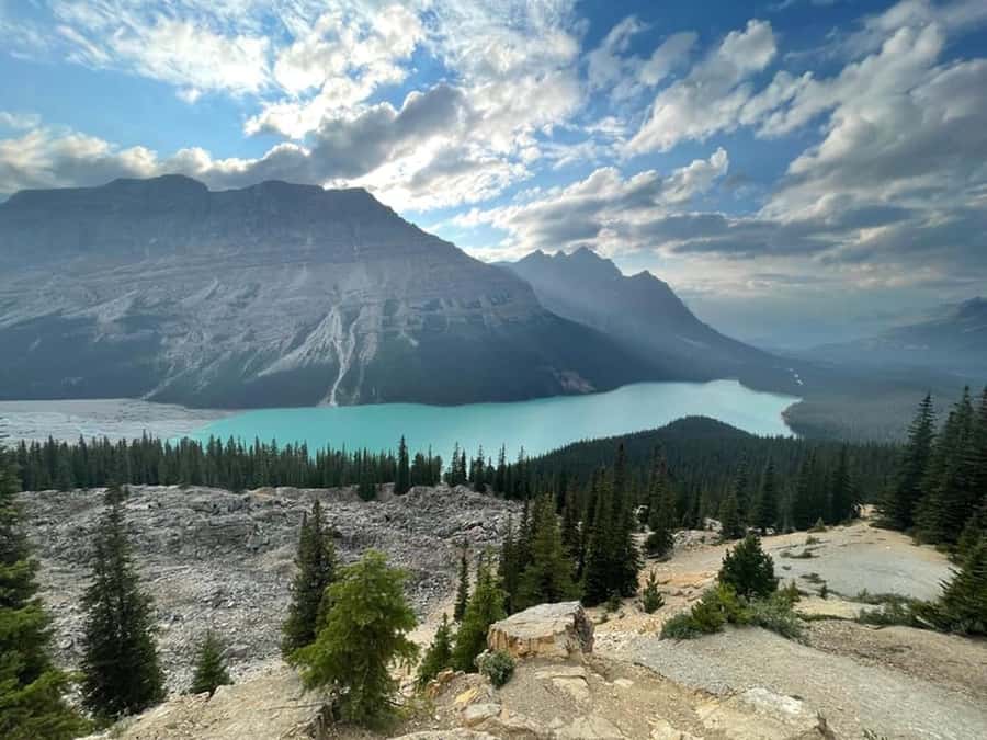 Columbia icefield, Skywalk, Waterfowl, Bow & Peyto Lake Tour - Skywalk and Icefield Adventure tickets: plan your 2:00–2:30 PM slot