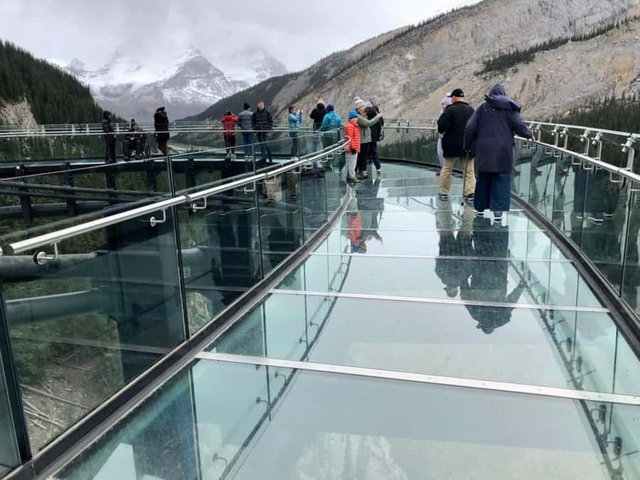 Columbia icefield, Skywalk, Waterfowl, Bow & Peyto Lake Tour - Transportation and guide experience: comfort plus real explanations