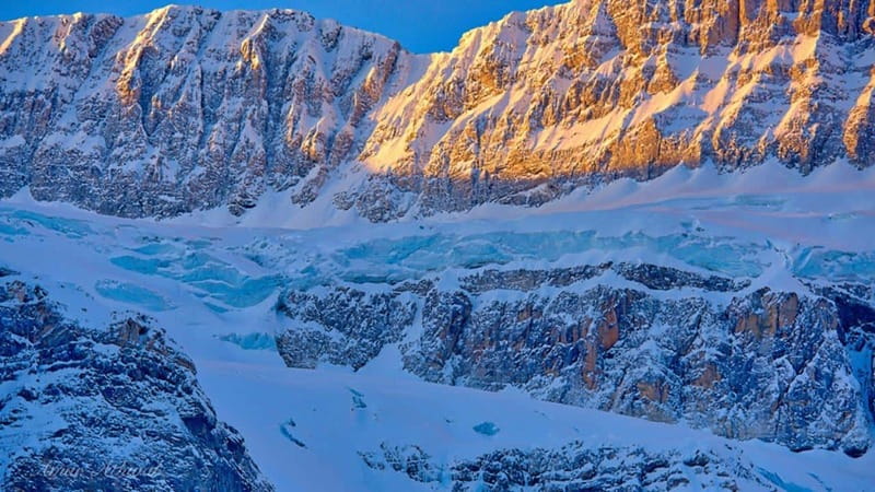 Columbia icefield, Skywalk, Waterfowl, Bow & Peyto Lake Tour - What you get for $57: the value is in the included extras