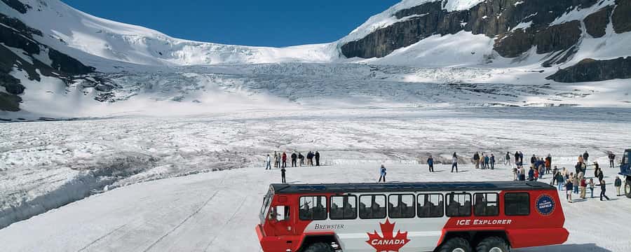 Columbia icefield, Skywalk, Waterfowl, Bow & Peyto Lake Tour - Columbia Icefield and Crowfoot Glacier: where the ice feels real