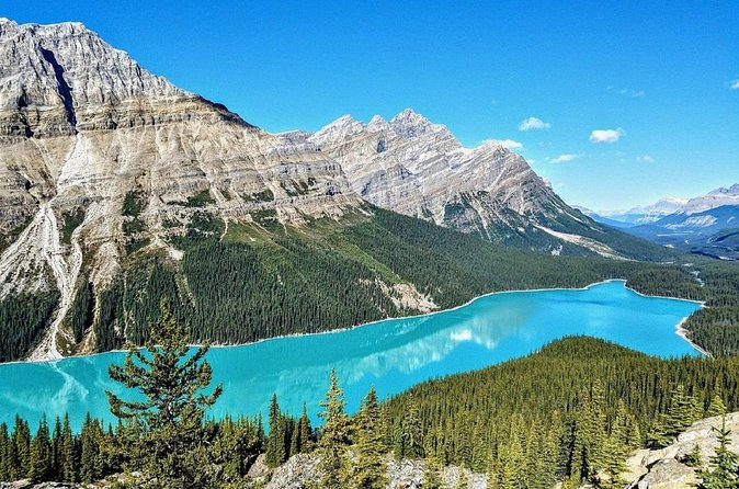 Columbia Icefield,Peyto Lake,Bow Lake Day Trip from Banff/Calgary - The Crossing lunch stop: plan for food on your schedule