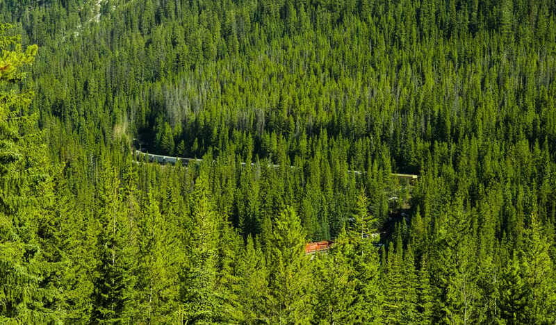 Deep Day Tour to Emerald, Moraine, Louise Lake, J. Canyon... - Park History on the Move: Rogers Pass Spiral Tunnels
