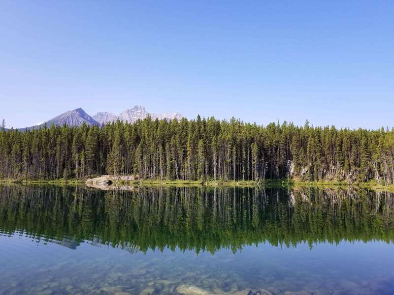 Deep Day Tour to Peyto, Moraine, Louise Lakes, J. Canyon... - The Coach Ride That Sets You Up for the Day