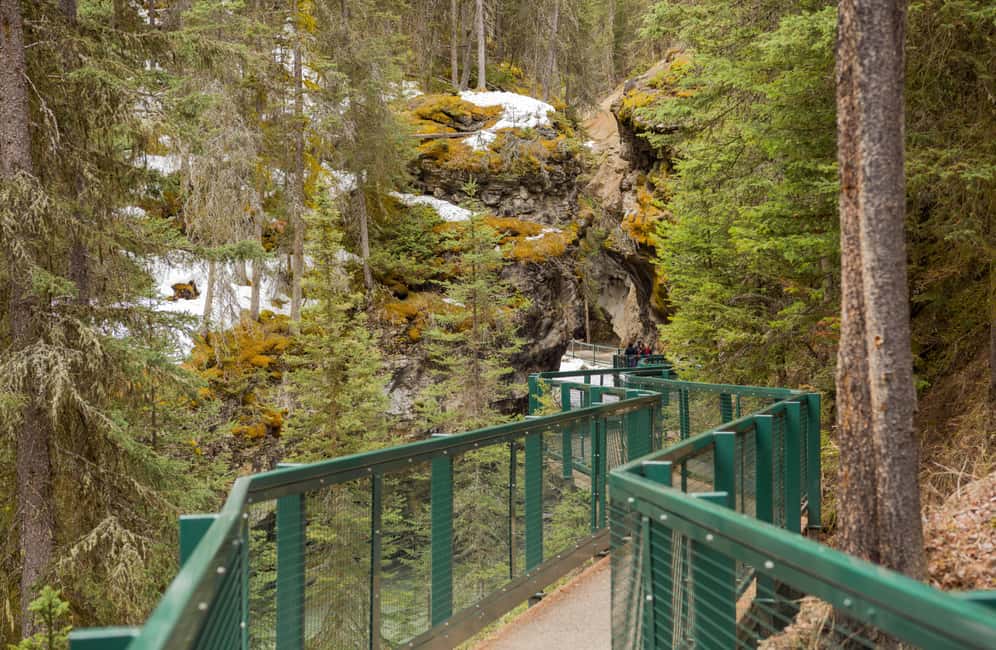 Deep Day Tour to Peyto, Moraine, Louise Lakes, J. Canyon... - Lake Louise + Visitor Information Centre Break: Don’t Skip the Basics