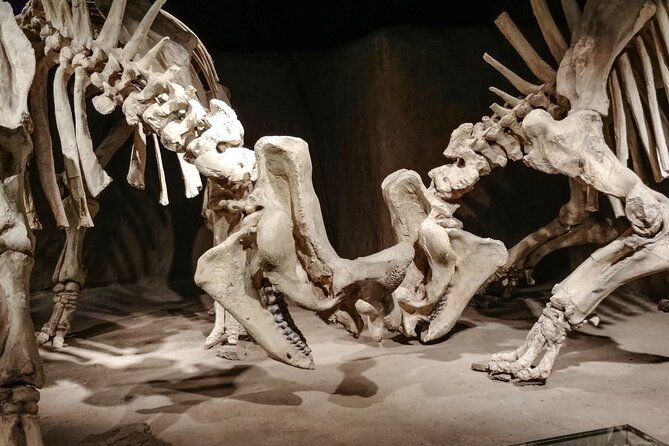 Dinosaurs, Canyons & Ghost Towns: Ultimate Drumheller Day Tour - Your 9:00 a.m. Start: How the Day Flows