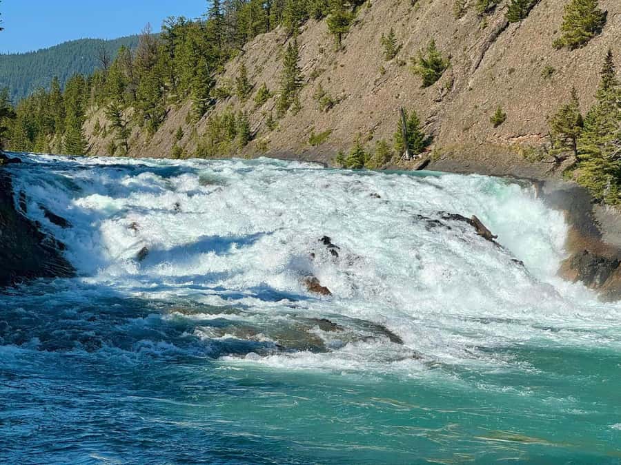 Discover the Best of Banff: Lakes, Mountains, Gondola Ride - A 9-hour Banff circuit with lakes, falls, and the gondola