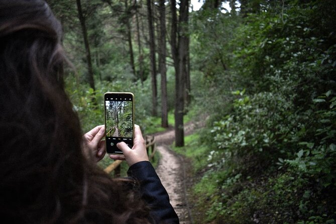 Discover the Lake Agnes Tea House Trail with an Audio Nature Tour - Who this private Lake Agnes audio tour fits best