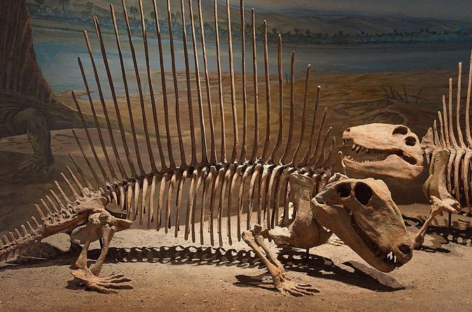 Drumheller and Badlands Full-Day Tour with a Small Group - East Coulee School Museum Lunch Break You Can Buy On Site