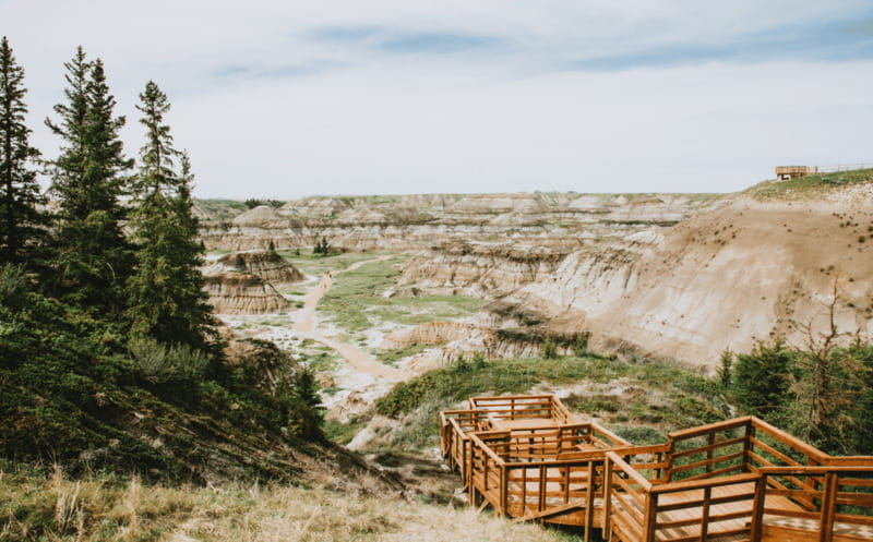Drumheller: Dinosaurs, Canyons, & Hoodoos Day Tour - Your guide matters: Simon and Emma set the tone