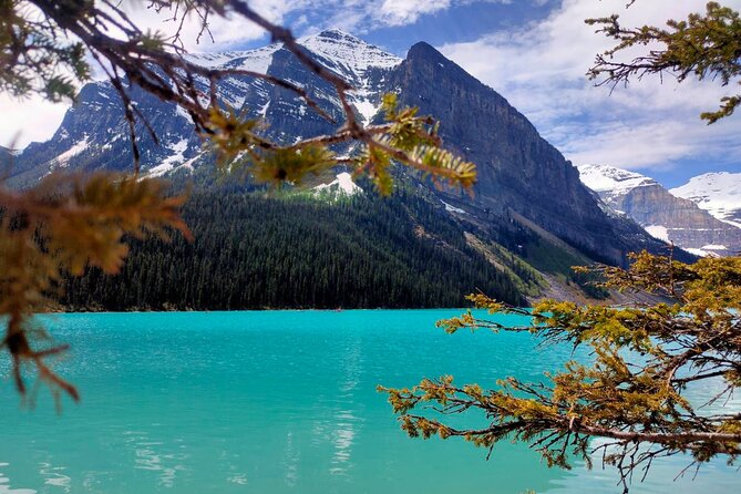 Emerald Lake Lake Louise Moraine Lake Half Day Tour - Emerald Lake and Natural Bridge in Yoho: short stops, big mood change