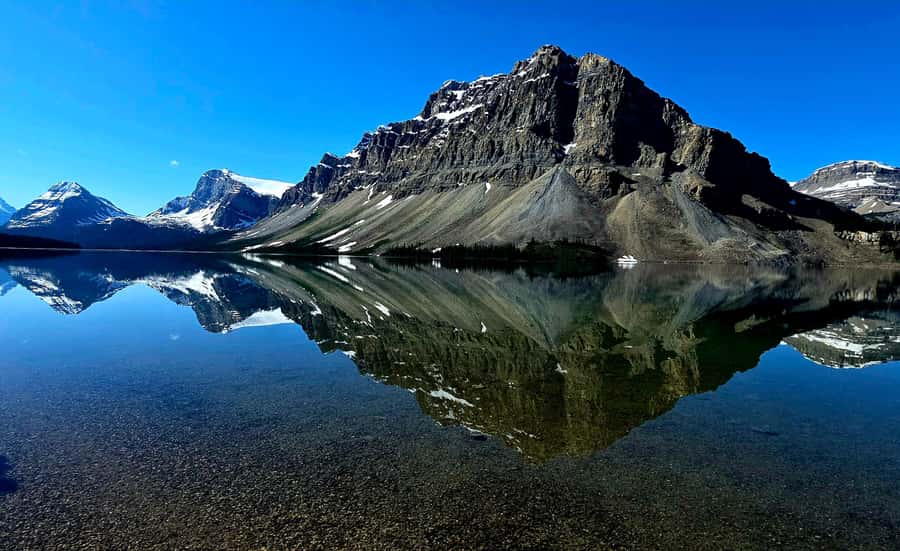 Explore 9 Iconic Banff Spots in 1 Epic Day!(Pax 12/Group) - Peyto Lake: The Wolf-Shaped Viewpoint Moment