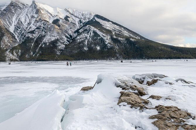 Explore Banff + Wildlife - Price and value: what your money actually buys