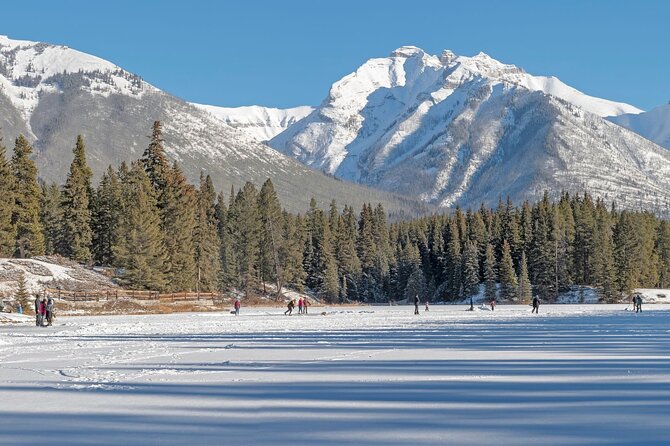 Explore Banff + Wildlife - Wildlife expectations: how to maximize your odds without stress