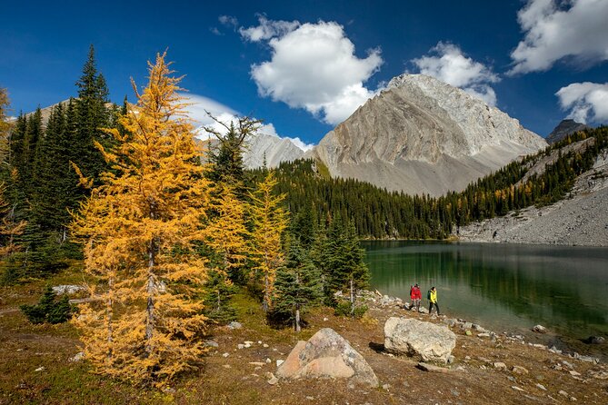 EXPLORE Canmore's HIDDEN Trails and Local Landmarks - 3H Hike - Key highlights worth planning around