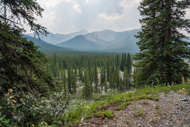 EXPLORE Canmore's HIDDEN Trails and Local Landmarks - 3H Hike - Why the guide and group size really matter on this hike