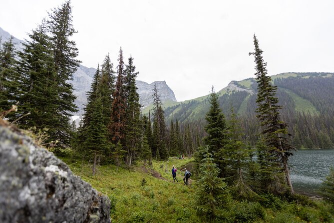 EXPLORE Canmore's HIDDEN Trails and Local Landmarks - 3H Hike - Price and value: what $68.02 buys you in Canmore