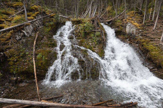 EXPLORE Canmore's HIDDEN Trails and Local Landmarks - 3H Hike - The practical flow: what the day feels like from start to finish
