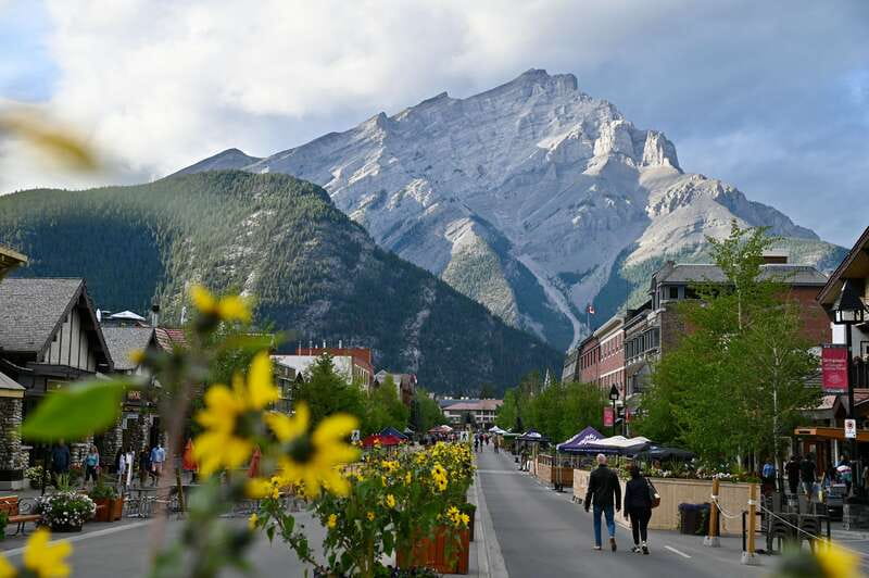 From Banff: Banff Wildlife & Scenic Highlights Premium Tour - Dusk-Driven Wildlife Odds in Banff National Park