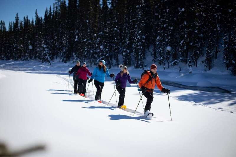 From Banff: Winter Wonderland; Lake Louise & Johnston Canyon - Who this tour suits best in the Banff winter season