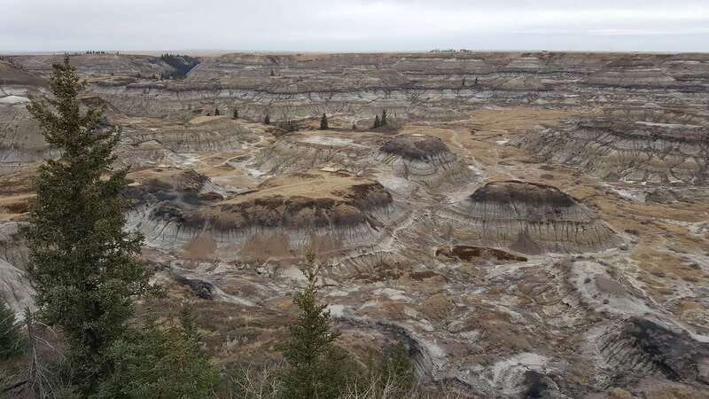 From Calgary: Canadian Badlands Private Geological Tour - Royal Tyrrell Museum: Fossil-Only Focus and a Hands-On Lab