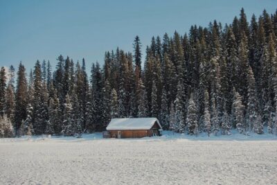 From Calgary: Moraine, Lake Louise & Johnston Canyon- Shared Tour - Lake Louise: glacier background, iconic hotel views, and 90 minutes to choose your pace