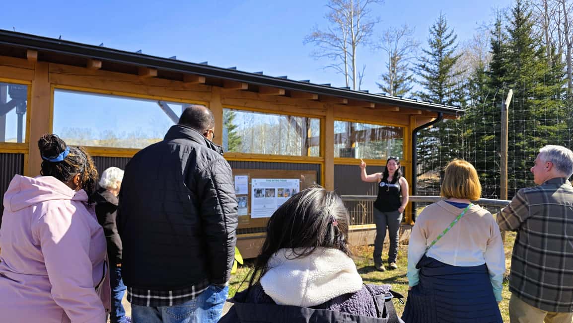 From Calgary to Banff: Day Trip with Wolfdog Sanctuary Visit - First Stop: Yamnuska Wolfdog Sanctuary and the intro tour experience