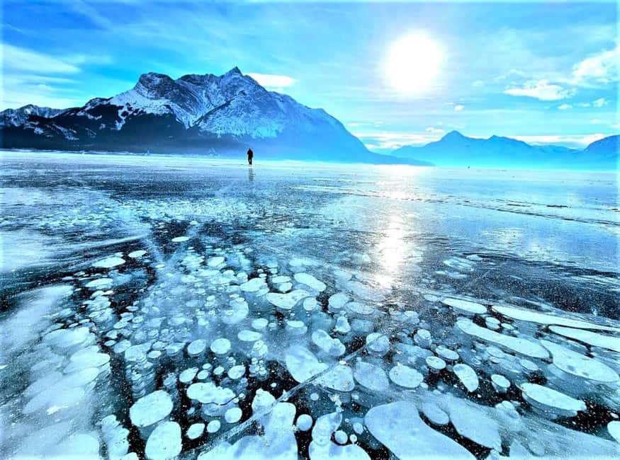 From Canmore/Banff: Icefields Parkway & Abraham Lake Bubbles - Icefields Parkway Driving: Wildlife Chances and Scenic Photo Stops