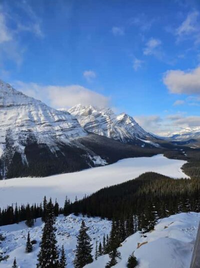 From Canmore/Banff: Icefields Parkway & Abraham Lake Bubbles - Abraham Lake Ice Bubbles: Time on the Frozen Lake