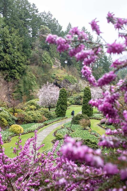 From Vancouver: Victoria, BC Ferry, Butchart Gardens Tour - Who This Tour Suits Best (and Who Should Skip It)