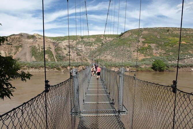 Full Day Drumheller Tour from Calgary by Coach - Pickup, coach comfort, and what to expect on the road