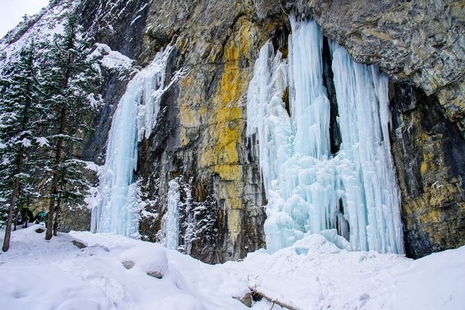 Grotto Canyon Majestic Ice Walk tour from Banff, Calgary, Canmore - Key Highlights to Know Before You Go