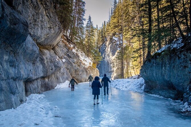 Grotto Canyon Majestic Ice Walk tour from Banff, Calgary, Canmore - Frozen Waterfalls and Ancient Pictographs: The Stops That Make It Worth Booking