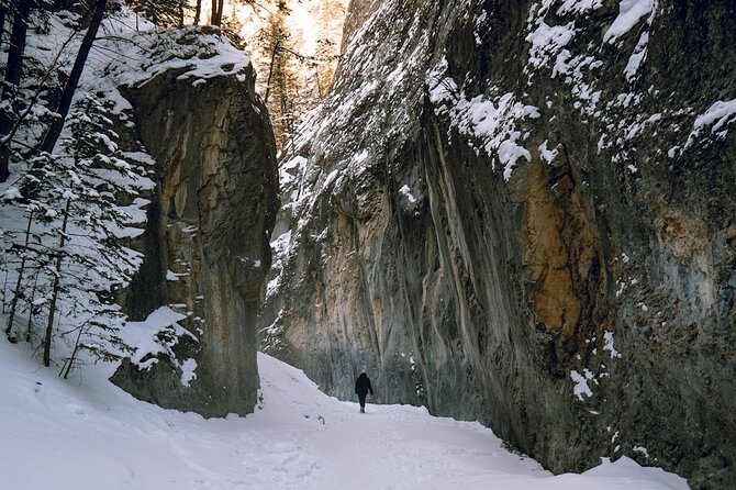 Grotto Canyon Majestic Ice Walk tour from Banff, Calgary, Canmore - Your 3–4 Hours in the Canyon: How the Walk Actually Plays Out