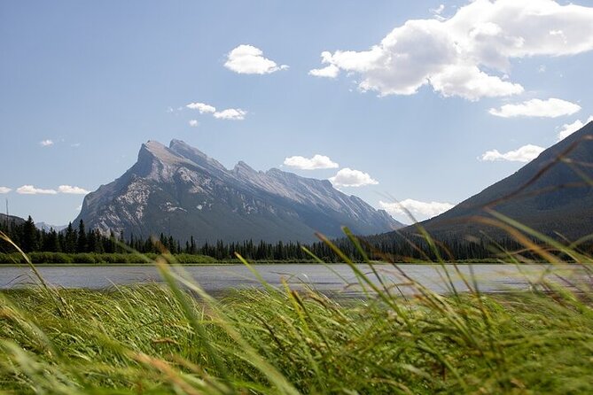 Guided Tour to Banff Highlights & Wildlife With Gondola Admission - Hoodoos Trail: short walk, classic Banff viewpoint