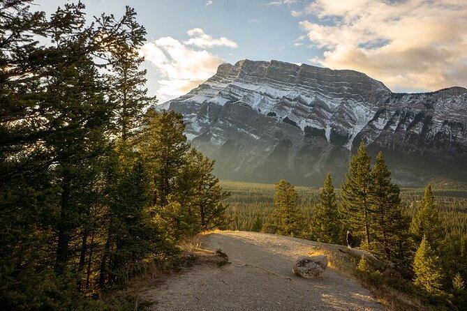Guided Tour to Banff Highlights & Wildlife With Gondola Admission - Bow Falls: a famous film connection and serious waterfall energy