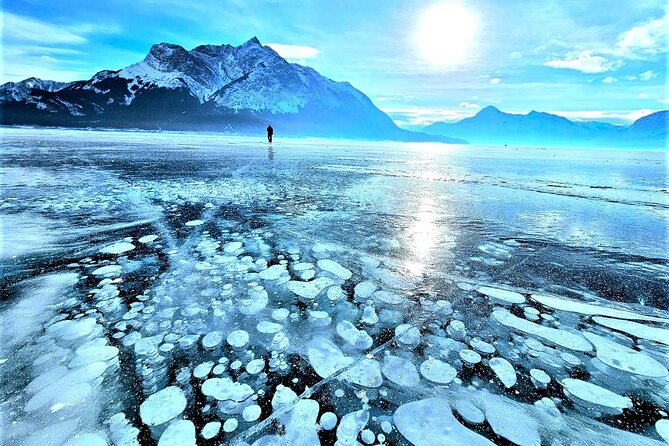 Icefields Parkway and Abraham Lake Bubbles Private Tour - Key highlights you’ll feel (and photograph)