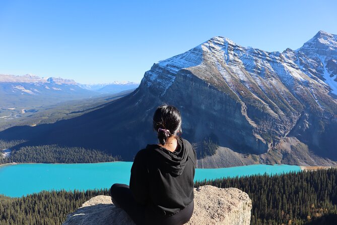 Johnston Canyon, Lake Louise & Banff: Small-Group Day Tour - Key highlights worth planning around