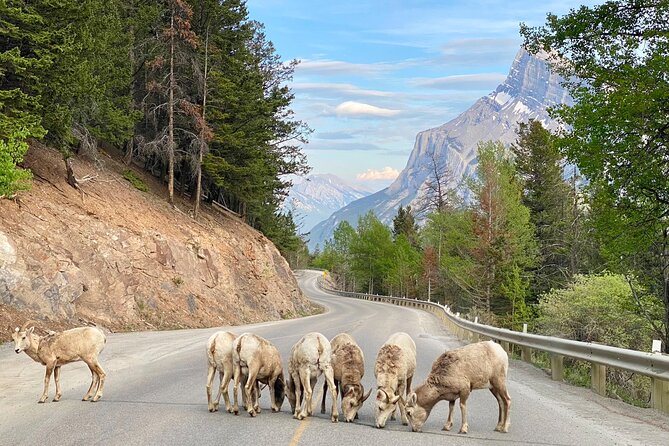 Johnston Canyon, Lake Louise & Banff: Small-Group Day Tour - What to expect from the pacing (and how to enjoy it)