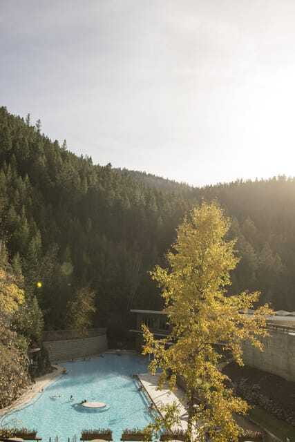 Kootenay: From Icy Mountain Rivers to Steamy Hot Springs - Price, timing, and what to expect from the group day